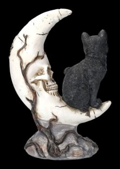 Totenkopf Mond Mit Schwarzer Katze 13 Totenkopf Mond Mit Schwarzer Katze -Statuen Modell Verkauf FS23935 Totenkopf Mond mit schwazer Katze 4 1280x1280