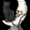 Totenkopf Mond Mit Schwarzer Katze -Statuen Modell Verkauf FS23935 Totenkopf Mond mit schwazer Katze 6 1280x1280