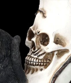 Totenkopf Mond Mit Schwarzer Katze 16 Totenkopf Mond Mit Schwarzer Katze -Statuen Modell Verkauf FS23935 Totenkopf Mond mit schwazer Katze 8 1280x1280