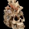 Totenkopf Figur Mit Korallen Bewachsen -Statuen Modell Verkauf FS24902 Totenkopf Figur mit Korallen bewachsen 10 1280x1280