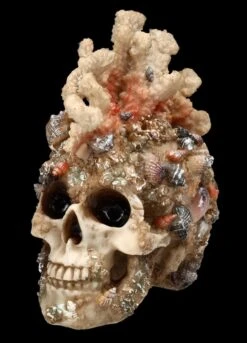 Totenkopf Figur Mit Korallen Bewachsen -Statuen Modell Verkauf FS24902 Totenkopf Figur mit Korallen bewachsen 2 1280x1280