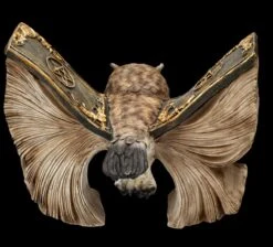 Eulen Figur Braun - Botschafterin Mit Buchflügeln 14 Eulen Figur Braun - Botschafterin Mit Buchflügeln -Statuen Modell Verkauf FS25623 Eulen Figur braun Botschafter mit Buchfl geln 6 1280x1280