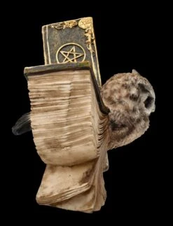 Eulen Figur Braun - Botschafterin Mit Buchflügeln 15 Eulen Figur Braun - Botschafterin Mit Buchflügeln -Statuen Modell Verkauf FS25623 Eulen Figur braun Botschafter mit Buchfl geln 8 1280x1280