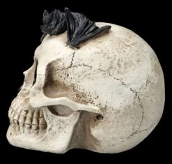 Totenkopf Mit Fledermaus -Statuen Modell Verkauf FS25693 Totenkopf mit Fledermaus 4 1280x1280