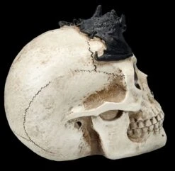 Totenkopf Mit Fledermaus -Statuen Modell Verkauf FS25693 Totenkopf mit Fledermaus 8 1280x1280