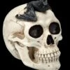 Totenkopf Mit Fledermaus -Statuen Modell Verkauf FS25693 Totenkopf mit Fledermaus 9 1280x1280