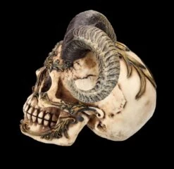 Totenkopf Figur Mit Hörnern - Diablo Skull -Statuen Modell Verkauf FS26190 Totenkopf Figur mit H rnern Diablo Skull 4 1280x1280