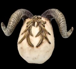 Totenkopf Figur Mit Hörnern - Diablo Skull -Statuen Modell Verkauf FS26190 Totenkopf Figur mit H rnern Diablo Skull 6 1280x1280