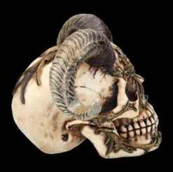Totenkopf Figur Mit Hörnern - Diablo Skull -Statuen Modell Verkauf FS26190 Totenkopf Figur mit H rnern Diablo Skull 8 1280x1280