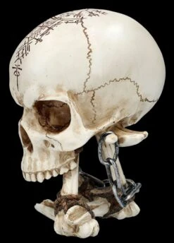 NEMESIS NOW Totenkopf Figur Auf Knochen - The Reckoning -Statuen Modell Verkauf FS26349 Totenkopf Figur auf Knochen The Reckoning 3 1280x1280