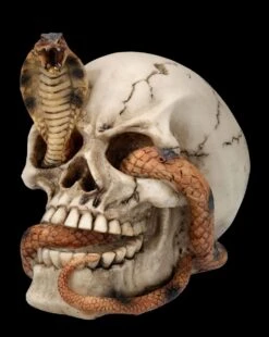 Totenkopf Figur - Kobra Schädel -Statuen Modell Verkauf FS26522 Totenkopf Figur Kobra Sch del 2 1280x1280
