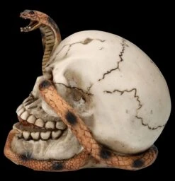 Totenkopf Figur - Kobra Schädel -Statuen Modell Verkauf FS26522 Totenkopf Figur Kobra Sch del 4 1280x1280