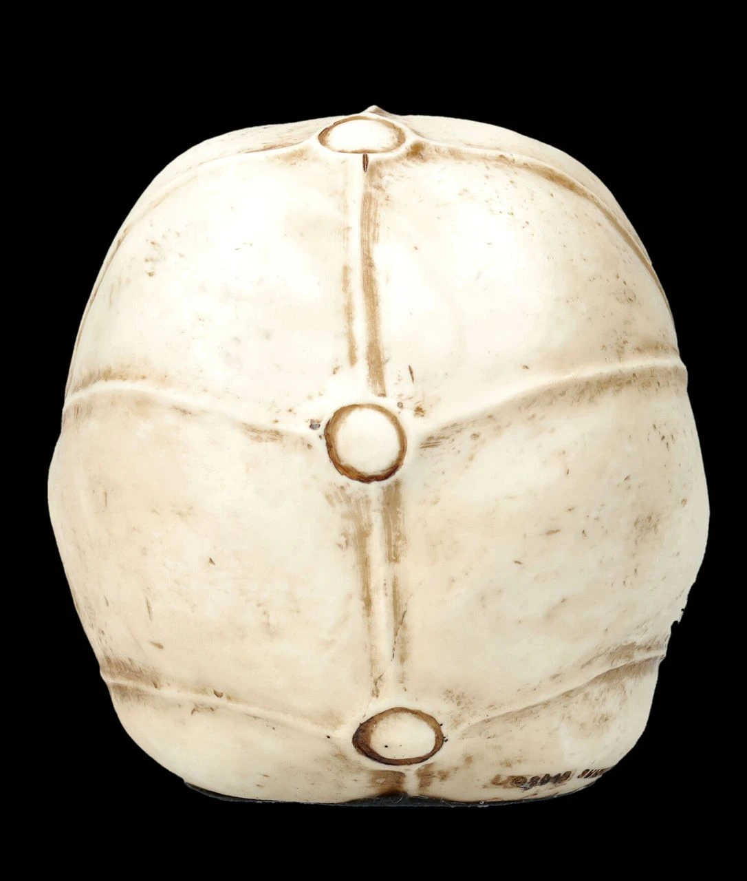 Alien Totenkopf - Extraterrestrischer Besucher Klein 6 Alien Totenkopf - Extraterrestrischer Besucher Klein – Bild 4