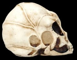 Alien Totenkopf - Extraterrestrischer Besucher Klein 12 Alien Totenkopf - Extraterrestrischer Besucher Klein -Statuen Modell Verkauf FS26641 Aliwn Totenkopf Estraterrestrischer Besucher klein 8 1280x1280