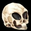Alien Totenkopf - Extraterrestrischer Besucher Klein -Statuen Modell Verkauf FS26641 Aliwn Totenkopf Estraterrestrischer Besucher klein 9 1280x1280
