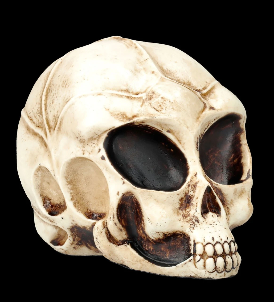 Alien Totenkopf - Extraterrestrischer Besucher Klein 3 Alien Totenkopf - Extraterrestrischer Besucher Klein