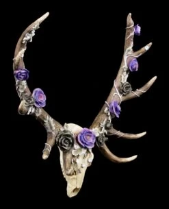 NEMESIS NOW Wandrelief Geweih - Antlers Of Eden -Statuen Modell Verkauf Geweih Wandrelief Antlers Of Eden 1 1280x1280