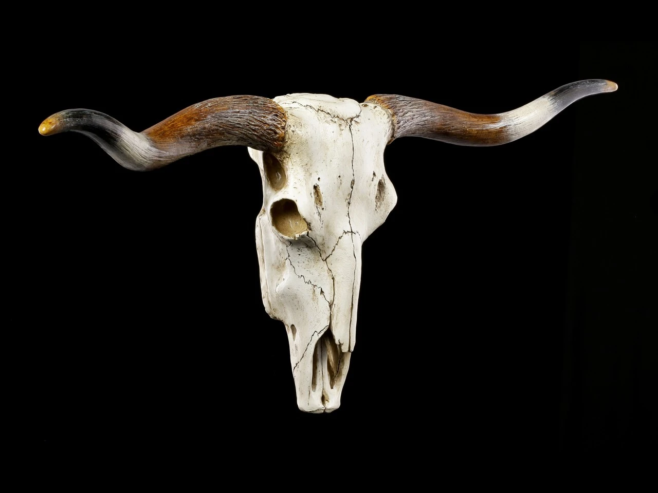 Großes Wandrelief - Büffel Schädel 4 Großes Wandrelief - Büffel Schädel – Bild 2