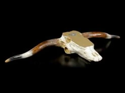 Großes Wandrelief - Büffel Schädel 11 Großes Wandrelief - Büffel Schädel -Statuen Modell Verkauf Grosser Wandrelief Bueffel Schaedel 4 1280x1280