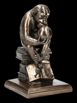 Affe Mit Schädel - Hugo Rheinhold -Statuen Modell Verkauf KS3216 Affe mit Schaedel Hugo Rheinhold 8 1280x1280