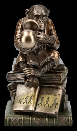 Affe Mit Schädel - Darwinismus Evolutionstheorie 13 Affe Mit Schädel - Darwinismus Evolutionstheorie -Statuen Modell Verkauf KS5214 Affe mit Schaedel Darwinismus Evolutionstheorie 2 1280x1280