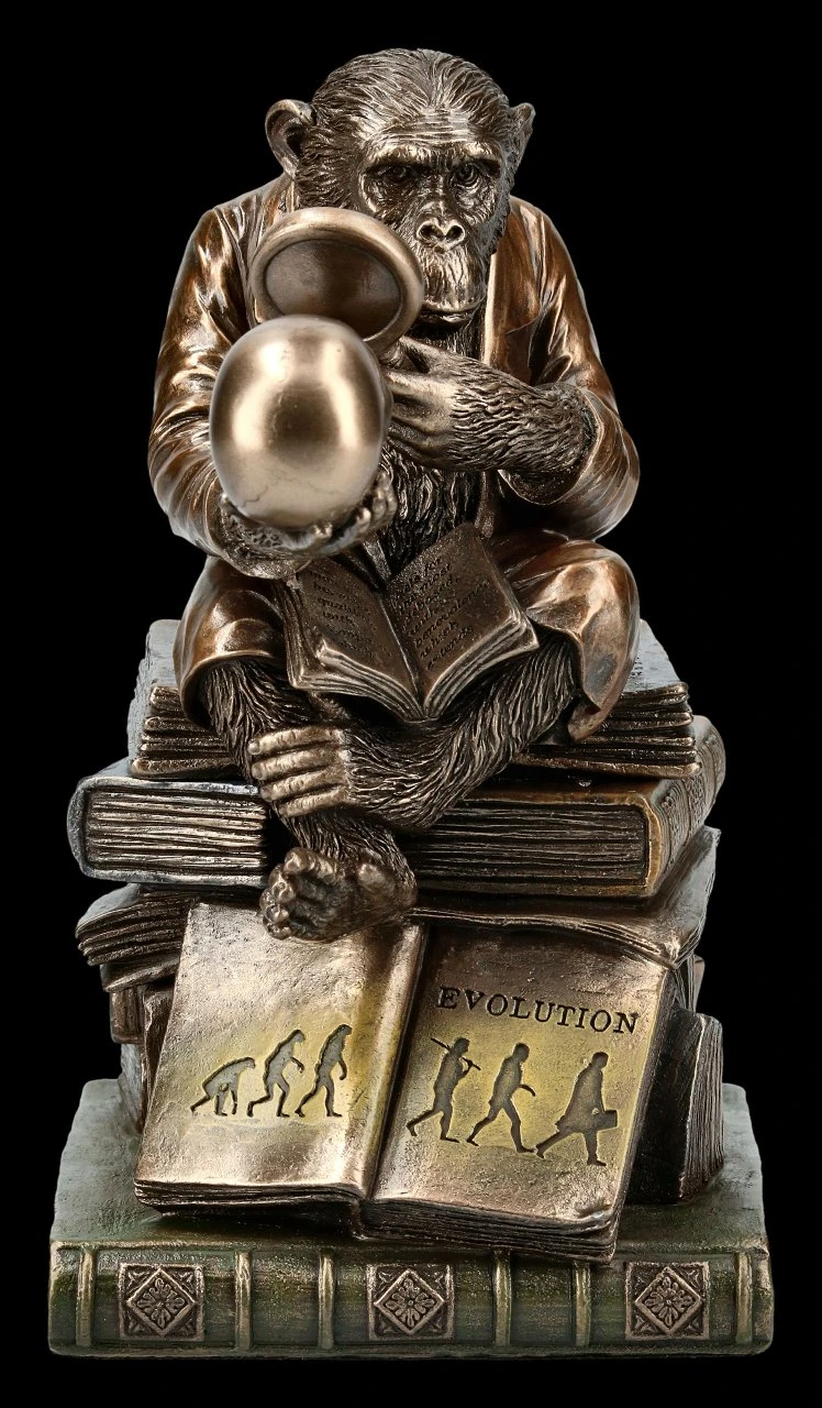 Affe Mit Schädel - Darwinismus Evolutionstheorie 5 Affe Mit Schädel - Darwinismus Evolutionstheorie – Bild 3