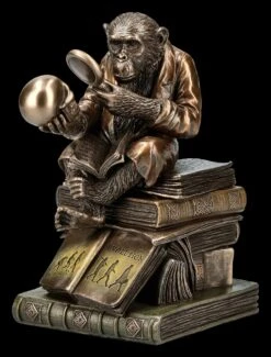 Affe Mit Schädel - Darwinismus Evolutionstheorie