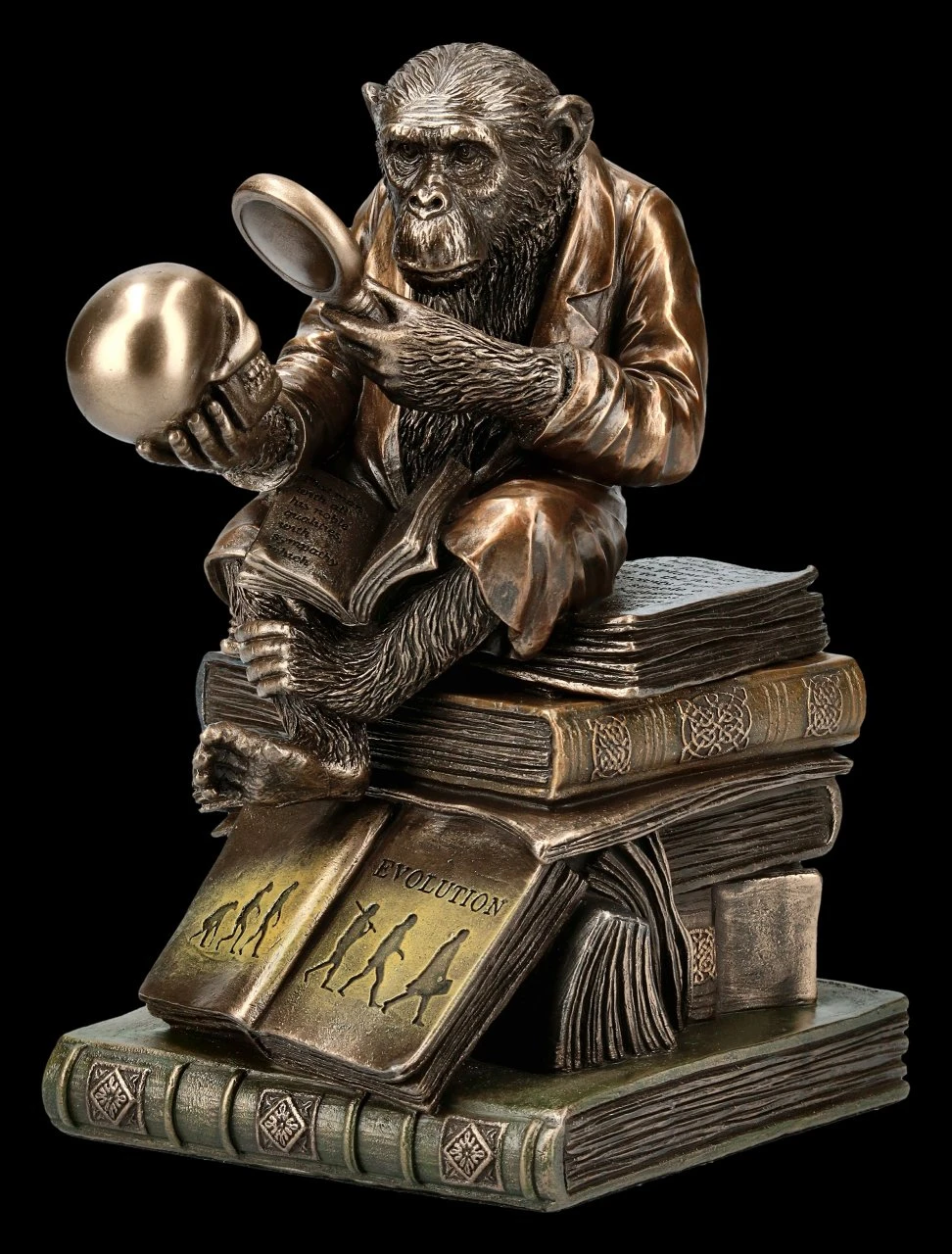 Affe Mit Schädel - Darwinismus Evolutionstheorie 3 Affe Mit Schädel - Darwinismus Evolutionstheorie