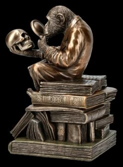 Affe Mit Schädel - Darwinismus Evolutionstheorie 14 Affe Mit Schädel - Darwinismus Evolutionstheorie -Statuen Modell Verkauf KS5214 Affe mit Schaedel Darwinismus Evolutionstheorie 5 1280x1280