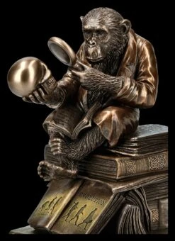 Affe Mit Schädel - Darwinismus Evolutionstheorie 17 Affe Mit Schädel - Darwinismus Evolutionstheorie -Statuen Modell Verkauf KS5214 Affe mit Schaedel Darwinismus Evolutionstheorie 9 1280x1280