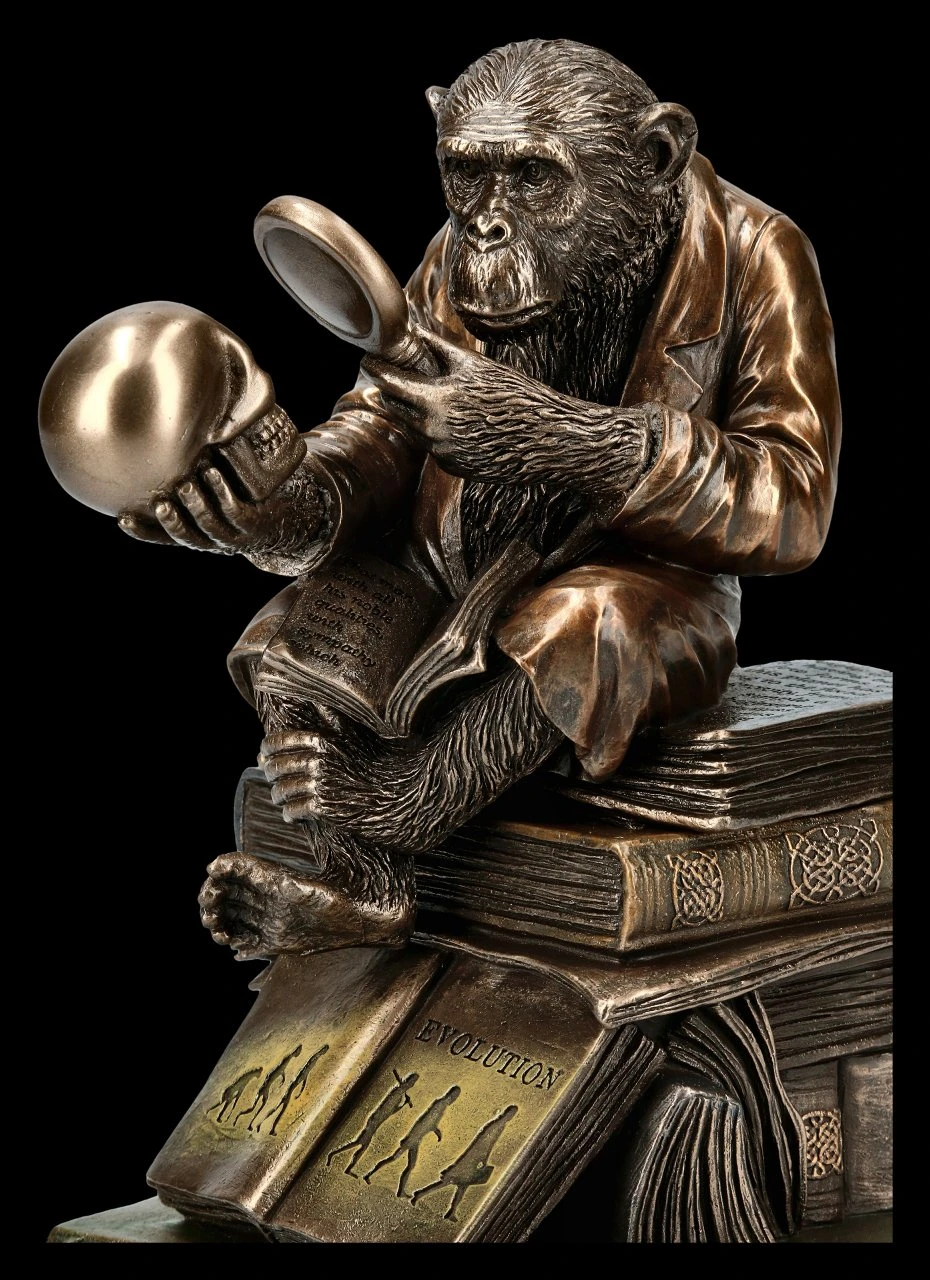Affe Mit Schädel - Darwinismus Evolutionstheorie 9 Affe Mit Schädel - Darwinismus Evolutionstheorie – Bild 7