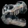 Totenkopf - Tyrannosaurus Rex - Groß