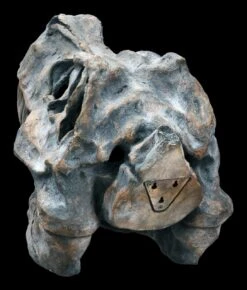 Totenkopf - Tyrannosaurus Rex - Groß -Statuen Modell Verkauf ML11827 Totenkopf Tyrannosaurus Rex gross 6 1280x1280