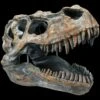 Totenkopf - Tyrannosaurus Rex - Mittel -Statuen Modell Verkauf ML11828 Totenkopf Tyrannosaurus Rex mittel 1 1280x1280