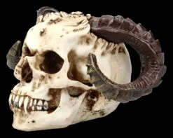 Teufelskopf Mit Widderhörnern -Statuen Modell Verkauf ML1799 Teufelskopf mit Widderhoernern 3 1280x1280