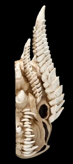 Wandrelief - Drachen Totenkopf Kryss -Statuen Modell Verkauf ML6578 Drachen Totenkopf Wanddeko 5 1280x1280