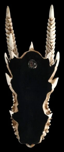Wandrelief - Drachen Totenkopf Kryss -Statuen Modell Verkauf ML6578 Drachen Totenkopf Wanddeko 6 1280x1280