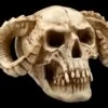 Totenkopf - Gehörnter Teufel -Statuen Modell Verkauf ML8756 Totenkopf Gehoernter Teufel 1 1280x1280