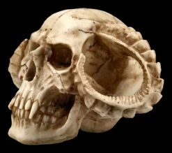 Totenkopf - Gehörnter Teufel -Statuen Modell Verkauf ML8756 Totenkopf Gehoernter Teufel 3 1280x1280