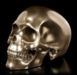 Menschlicher Totenkopf - Bronziert -Statuen Modell Verkauf Menschlicher Totenkopf Bronziert 2 1280x1280