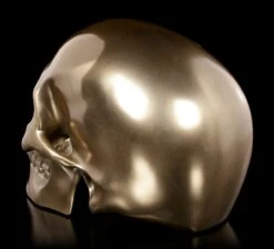 Menschlicher Totenkopf - Bronziert -Statuen Modell Verkauf Menschlicher Totenkopf Bronziert 3 1280x1280