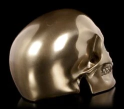 Menschlicher Totenkopf - Bronziert -Statuen Modell Verkauf Menschlicher Totenkopf Bronziert 4 1280x1280