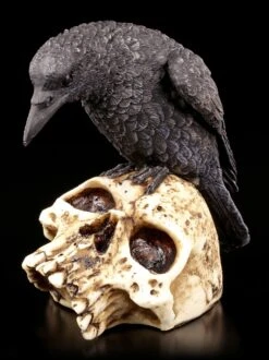 Raben Figur Auf Totenschädel