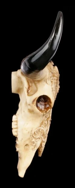 Rinder Schädel Mit Indianerkopf - Old Spirit 10 Rinder Schädel Mit Indianerkopf - Old Spirit -Statuen Modell Verkauf Rinder Bullen Schaedel Mit Indianerkopf Old Spirit 2 1280x1280