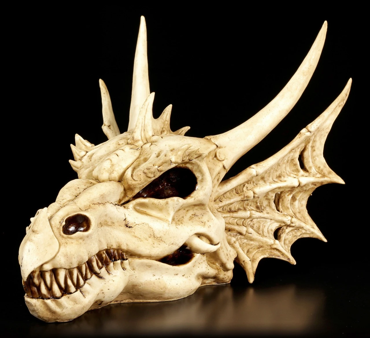 Wandrelief - Schädel Des Letzten Drachen 5 Wandrelief - Schädel Des Letzten Drachen – Bild 3