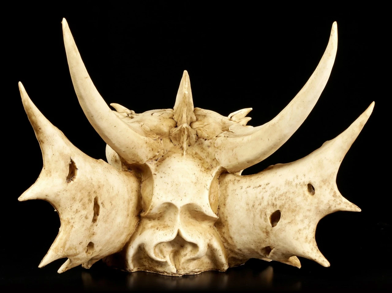 Wandrelief - Schädel Des Letzten Drachen 6 Wandrelief - Schädel Des Letzten Drachen – Bild 4