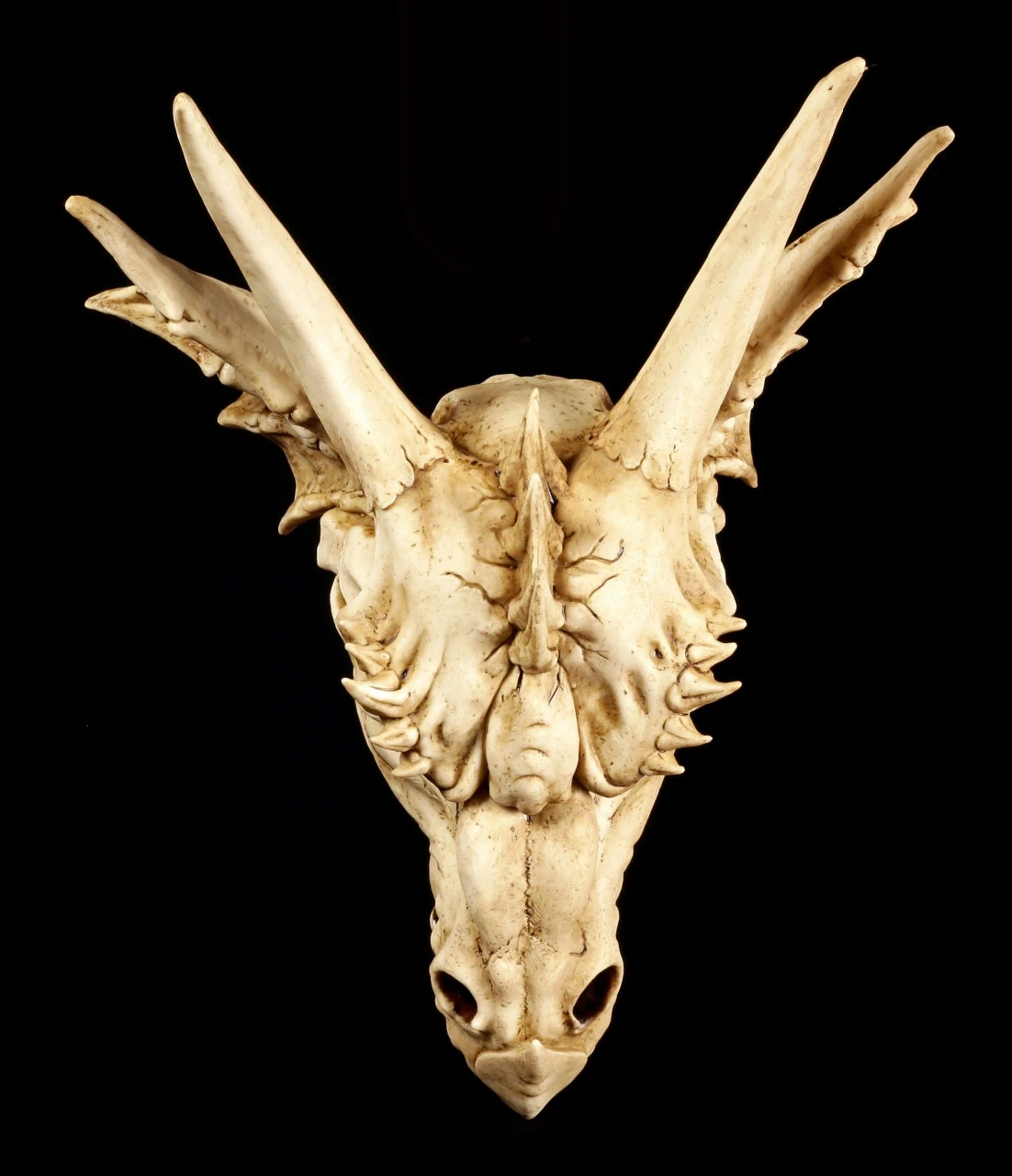 Wandrelief - Schädel Des Letzten Drachen 8 Wandrelief - Schädel Des Letzten Drachen – Bild 6