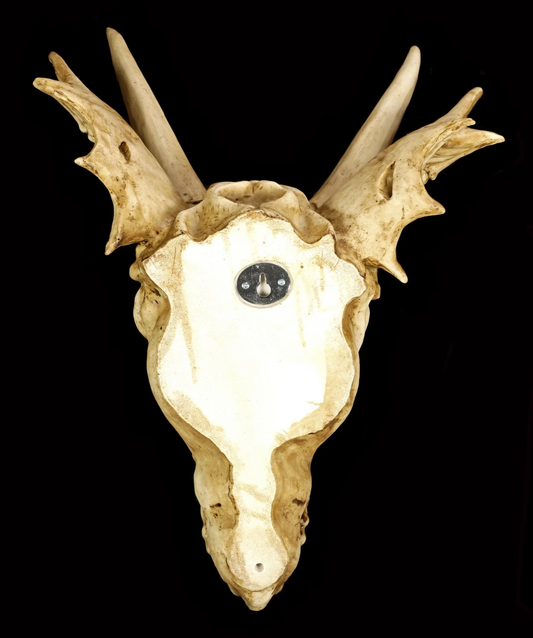 Wandrelief - Schädel Des Letzten Drachen 9 Wandrelief - Schädel Des Letzten Drachen – Bild 7