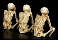Skelett Kantenhocker - 3er Set -Statuen Modell Verkauf Skelett Kantenhocker 3er Set 3 1280x1280