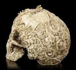Totenkopf - Cranial Drakos -Statuen Modell Verkauf Totenkopf Cranial Drakos 3 1280x1280